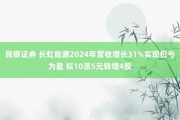民银证券 长虹能源2024年营收增长31%实现扭亏为盈 拟10派5元转增4股