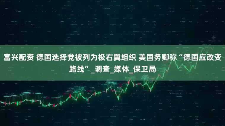 富兴配资 德国选择党被列为极右翼组织 美国务卿称“德国应改变路线”_调查_媒体_保卫局