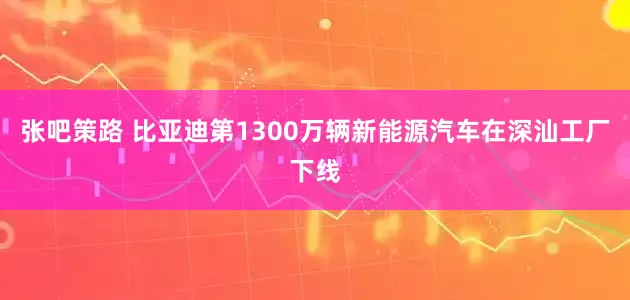 张吧策路 比亚迪第1300万辆新能源汽车在深汕工厂下线