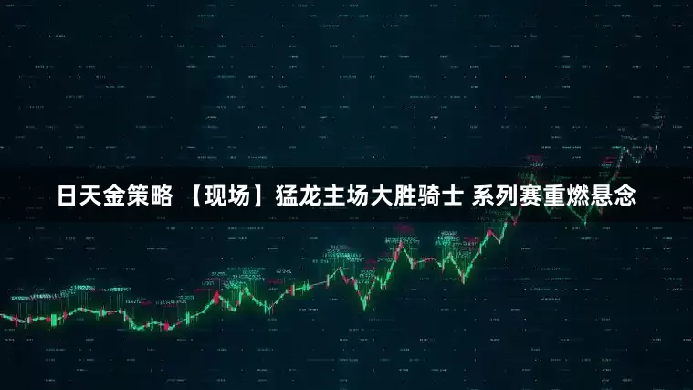 日天金策略 【现场】猛龙主场大胜骑士 系列赛重燃悬念